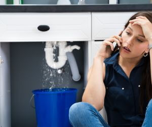 About Plumbers Pros Newark Valley, NY